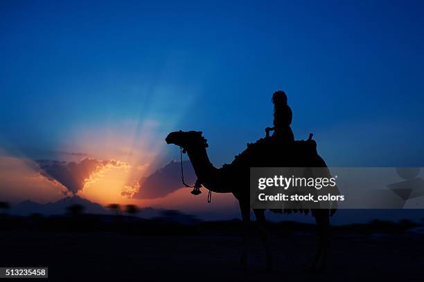 exciting sunset riding a camel - north africa landscape stock pictures, royalty-free photos & images