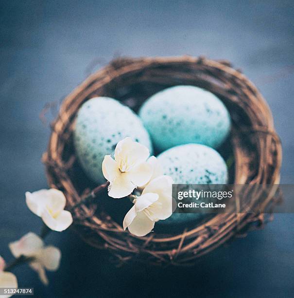 easter eggs in nest with delicate spring blossoms - easter flowers stock pictures, royalty-free photos & images