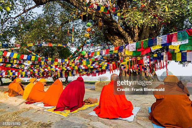 Some Sadhus, holy men, are sitting around the Bodhi tree next to the Mayadevi Temple, the birthplace of Siddhartha Gautama, the present Buddha.