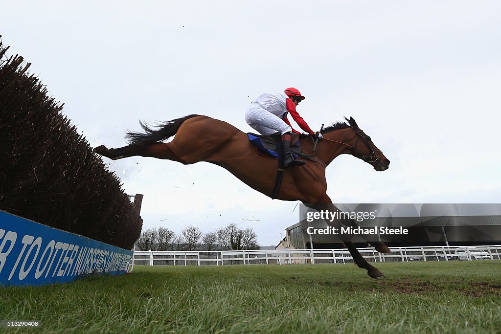 Wincanton Races