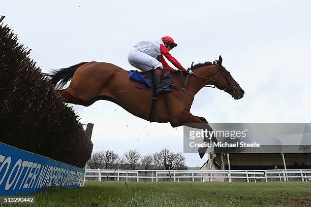 Victoria Pendleton riding Pacha Du Polder on her way to victory in the Betfair Switching Saddles Hunters' Steeplechase at Wincanton Racecourse on...