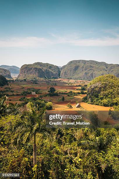 landscape of vinales valley in cuba - vinales stockfoto's en -beelden
