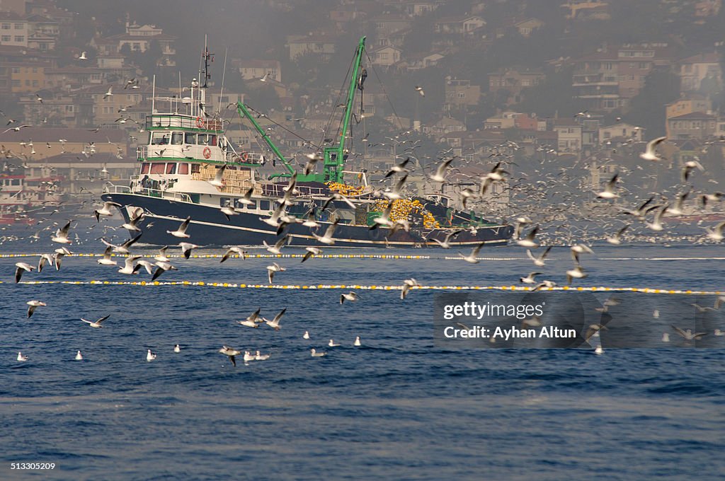 Fishing Boat on the Bosphorus, Istanbul