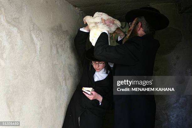 Kaparot Ritual Swing Gates Photos and Premium High Res Pictures - Getty Images