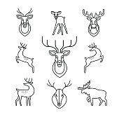 Jumping and standing deers, moose, antlers