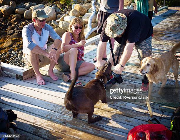 fun playing stick with a dog, nova scotia, canada - coastal feature stock pictures, royalty-free photos & images