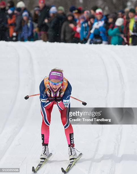 March 02: Therese Johaug of Norway during Cross Country Ladies 10.5 km Mass Start Classic on March 02, 2016 in Montreal, Canada .