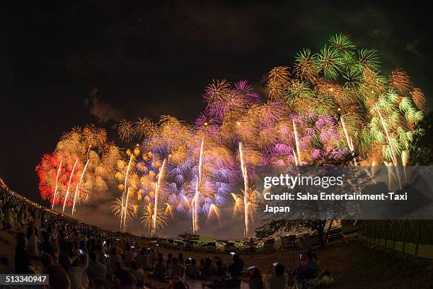 beautiful fireworks - 長岡市 個照片及圖片檔