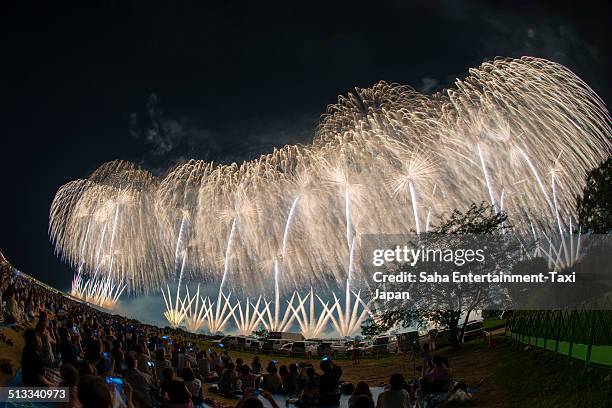 Dynamic Fireworks 115 Nagaoka Fireworks Stock Photos, High-Res Pictures, and Images ...
