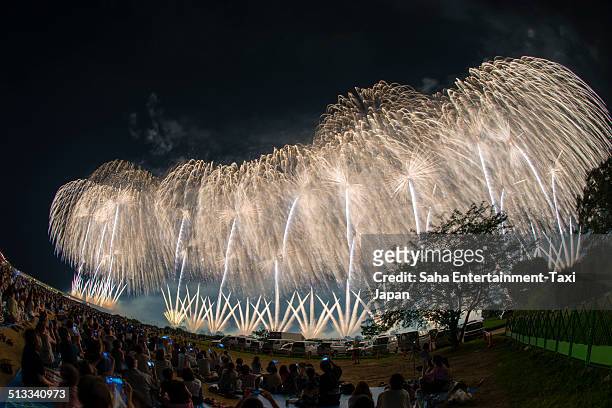 dynamic wide fireworks - 長岡市 個照片及圖片檔