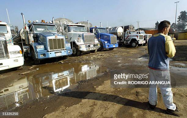 Un camionero observa decenas de camiones que permanecen en un estacionamiento en Bogota, el 22 de setiembre de 2004. Miles de transportistas de carga...