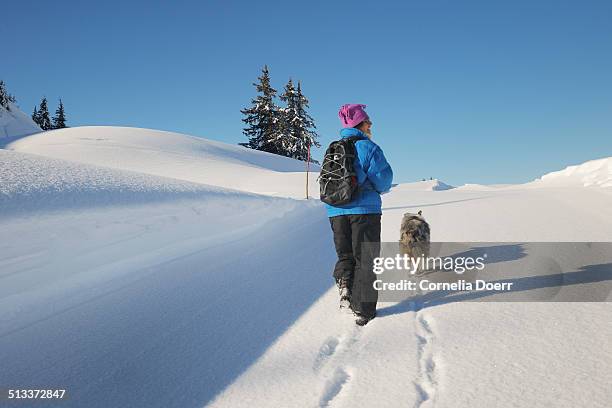 women enjoying winter hiking with her dog - sonnenkopf stock pictures, royalty-free photos & images