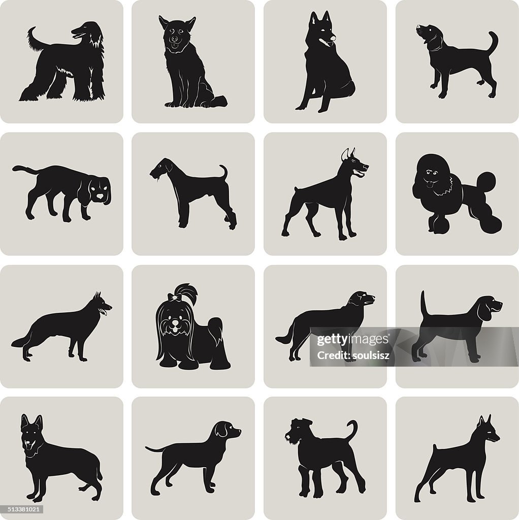 Dog Silhouette Black Icon Symbol Grouped For Easy Editing Set1 High-Res  Vector Graphic - Getty Images