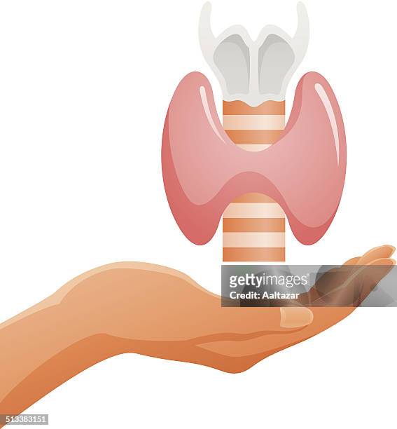 ilustrações de stock, clip art, desenhos animados e ícones de mão a segurar glândula tireoidiana - thumb nail