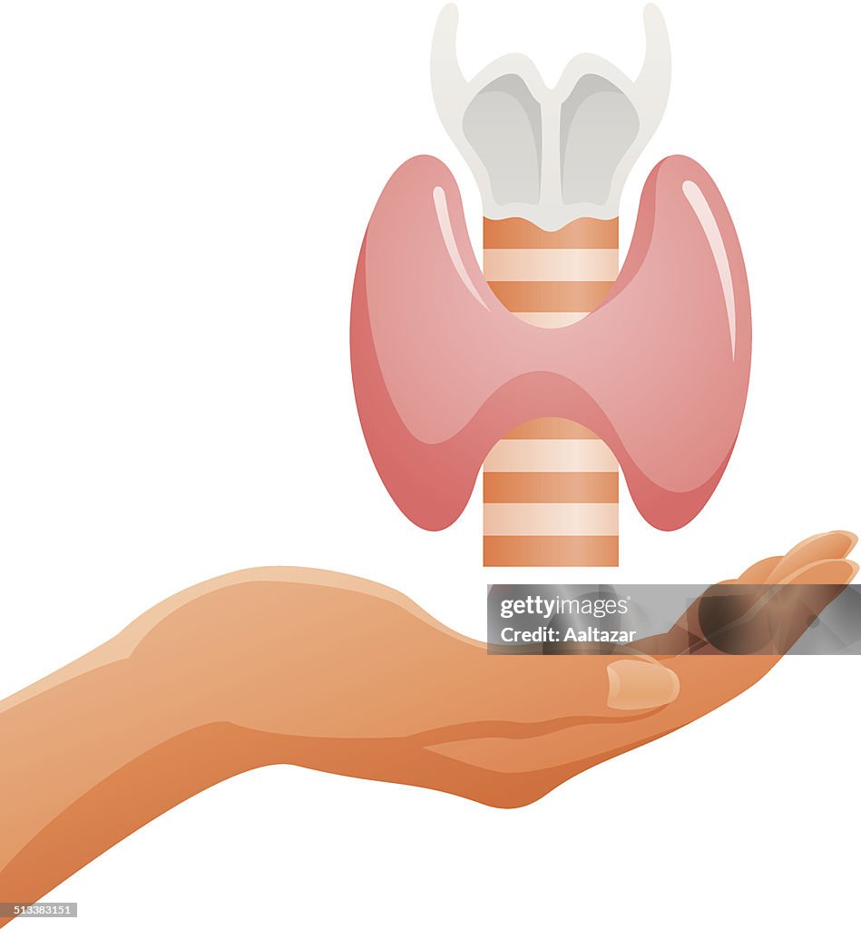 Hand Holding Thyroid Gland