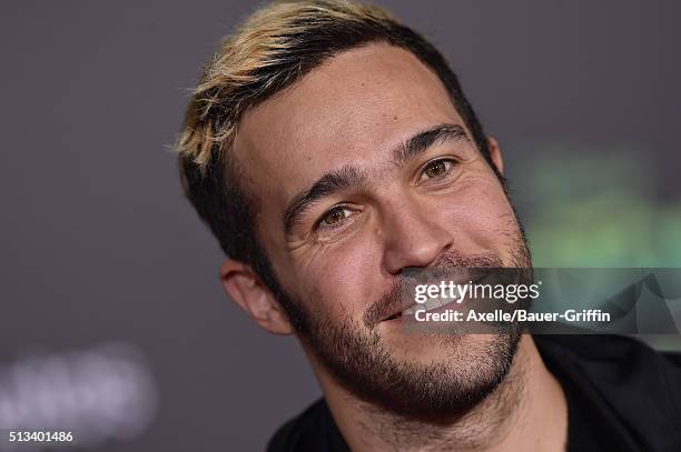 Musician Pete Wentz arrives at the premiere of Walt Disney Animation Studios' 'Zootopia' at the El Capitan Theatre on February 17, 2016 in Hollywood,...