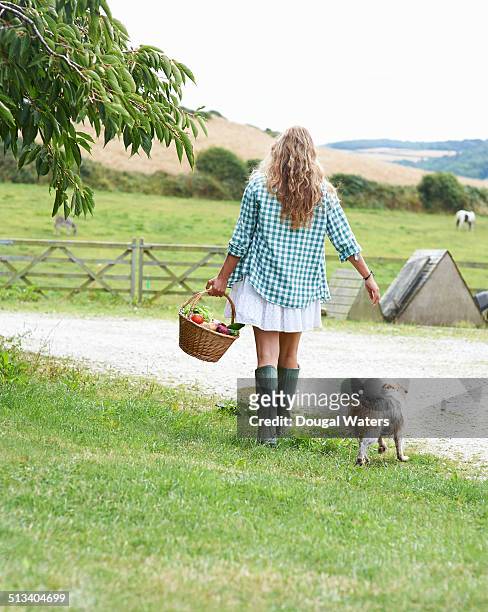 woman walking with basket of vegetables on farm. - long hair back stock pictures, royalty-free photos & images