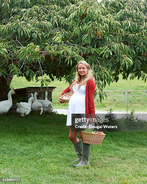 pregnant woman in farmyard. - organic farm stock-fotos und bilder