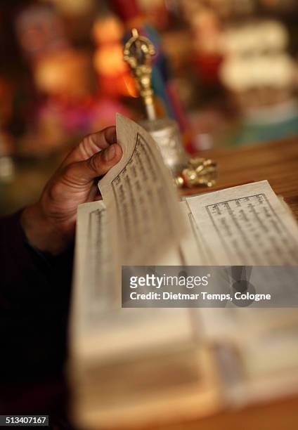 praying buddhist monk with book - dietmar temps stock-fotos und bilder