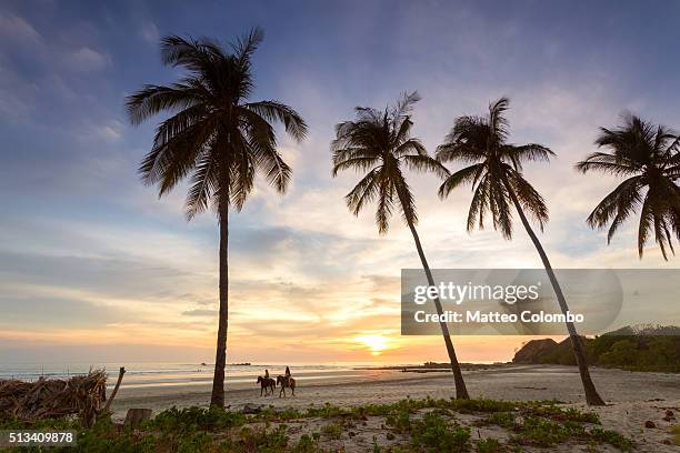 tourists horse riding on a tropical beach at sunset, costa rica - costa rica stock pictures, royalty-free photos & images