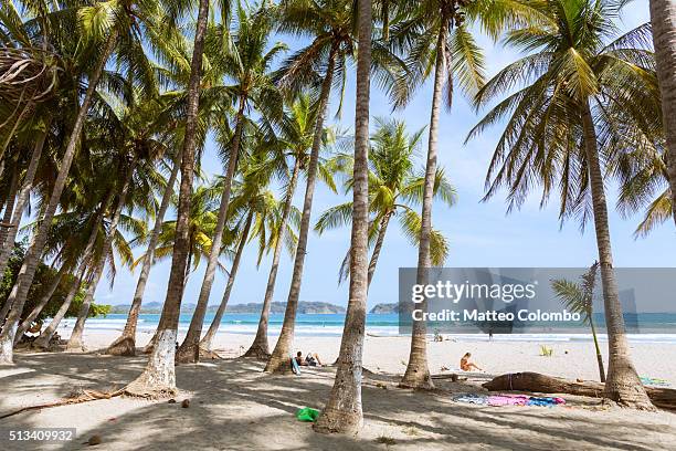 playa samara, nicoya peninsula, guanacaste, costa rica - playa carrillo stock pictures, royalty-free photos & images