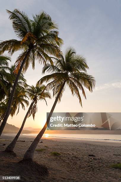 sunrise over exotic sandy beach with palm trees, costa rica - playa carrillo stock pictures, royalty-free photos & images