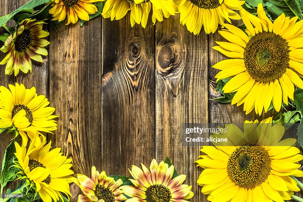 Girasoles Marco De Flores Sobre Fondo De Madera Rústica Foto de stock -  Getty Images