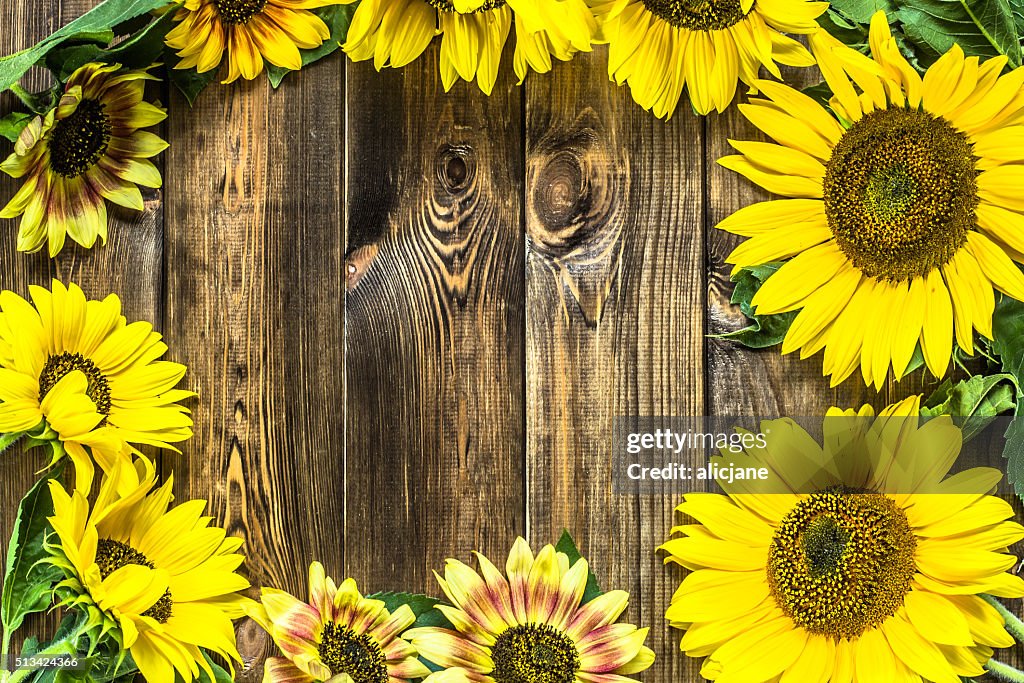 Girasoles Marco De Flores Sobre Fondo De Madera Rústica Foto de stock - Getty Images Girasoles Marco De Flores Sobre Fondo De Madera Rústica Foto de stock - Getty Images