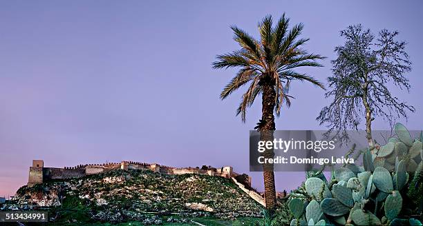 monumental complex of la alcazaba, almeria, spain - casbah stock pictures, royalty-free photos & images