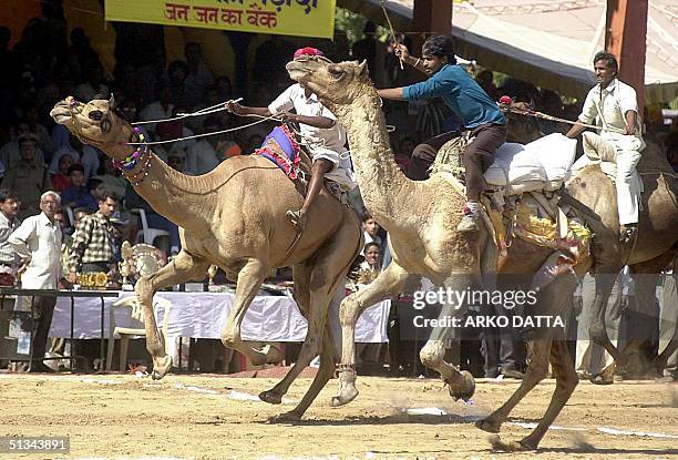 People watch a camel race, a popular feature at the annual camel and cattle fair at Pushkar in the desert state of Rajasthan 11 November 2000. Also...