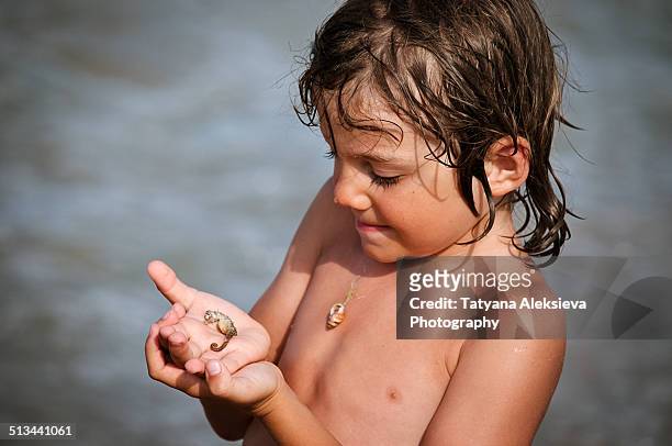 seahorse and the boy - zeepaardje stockfoto's en -beelden