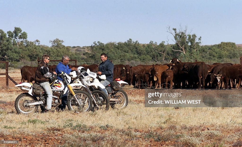 Workers from the Anna Creek cattle station take a
