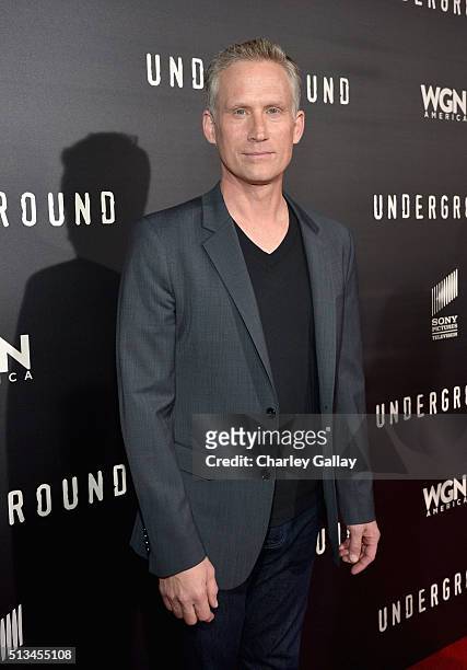 Actor Reed Diamond attends WGN America's "Underground" World Premiere on March 2, 2016 in Los Angeles, California.