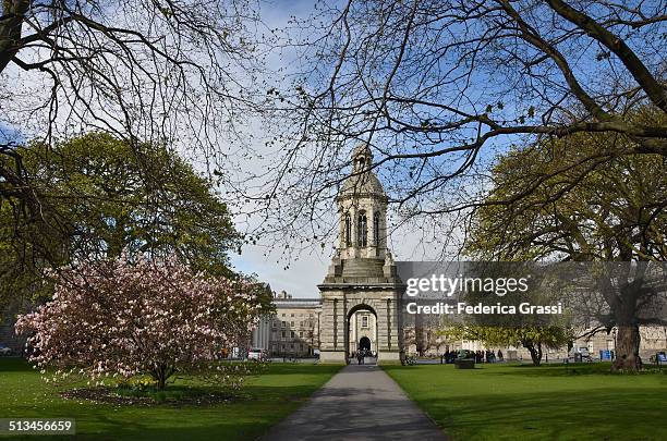 trinity college - trinity college dublin stock pictures, royalty-free photos & images
