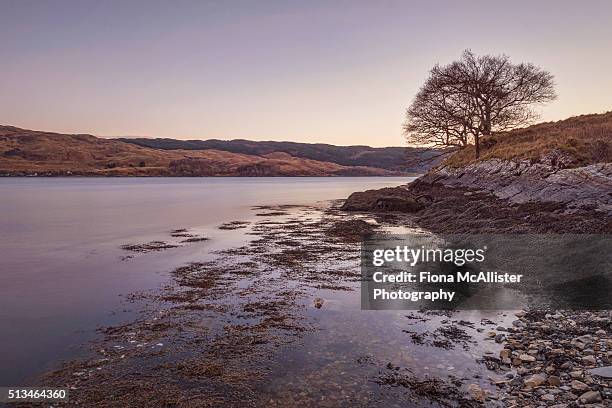 "lochside love" - argyle stock pictures, royalty-free photos & images