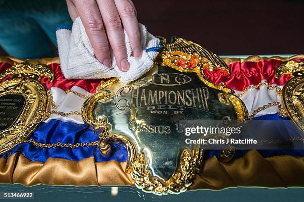 Curator polishes a replica of the Cassius Clay 1964 Championship belt - at the preview of the 'I Am The Greatest' Muhammad Ali exhibition on March 3,...