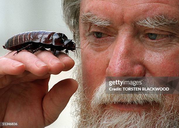 Native Cockroach 114 Dr Roach Stock Photos, High-Res Pictures, and Images - Getty Images