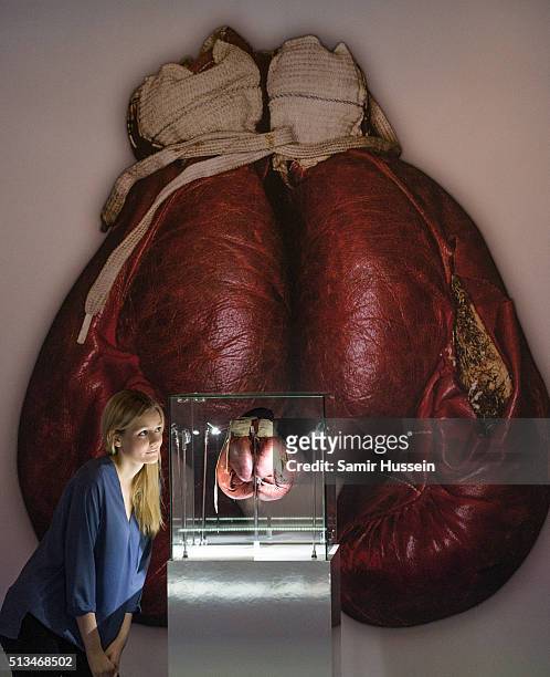 An exhibition assistant looks at a pair of split boxing gloves worn by Muhammad Ali during his 1963 fight against Henry Cooper, during a photocall to...