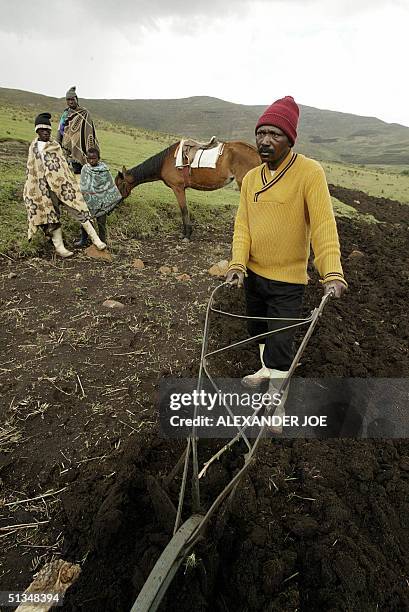 Nahano Peter and his sons and a team of oxen, prepare their land to plant seeds the government has promised him 06 November 2002. In a remote valley...