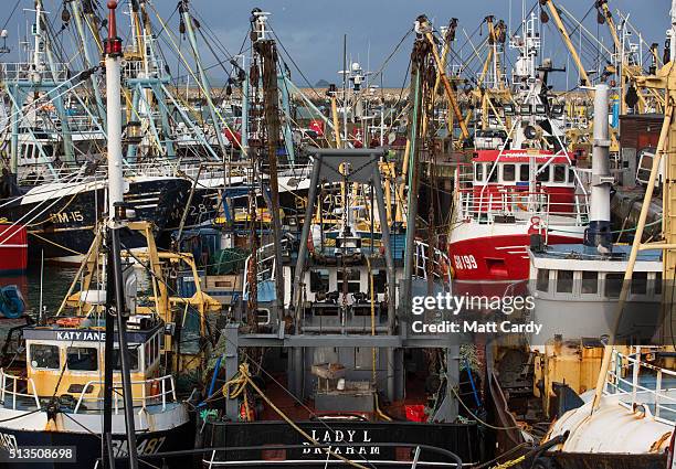 The sun shines on some of the fishing vessels moored in Brixham harbour on March 2, 2016 in Devon, England. The UK's fishing industry is likely to be...