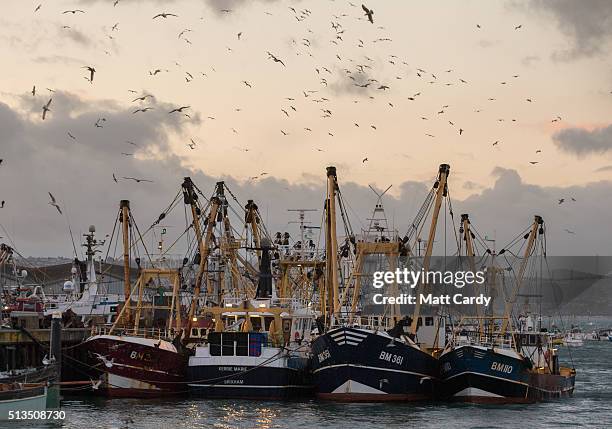 Fishing boats moored in Brixham harbour on March 2, 2016 in Devon, England. The UK's fishing industry is likely to be radically affected by the...