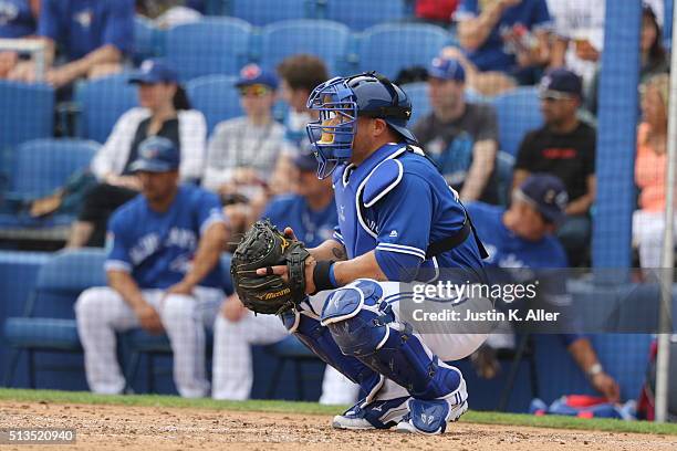 Humberto Quintero of the Toronto Blue Jays in action during the game against the Philadelphia Phillies at Florida Auto Exchange Stadium on March 2,...