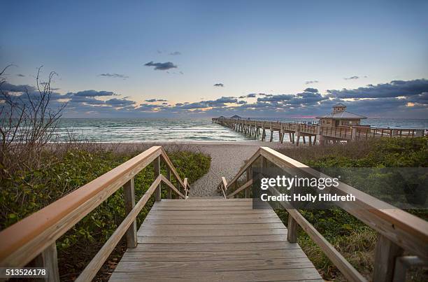 wooden staircase at the beach - west palm beach coast stock pictures, royalty-free photos & images