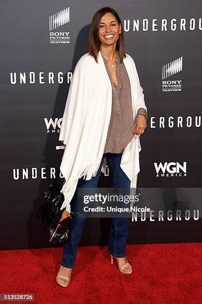 Actress Salli Richardson-Whitfield attends WGN America's 'Underground' World Premiere on March 2, 2016 in Los Angeles, California.