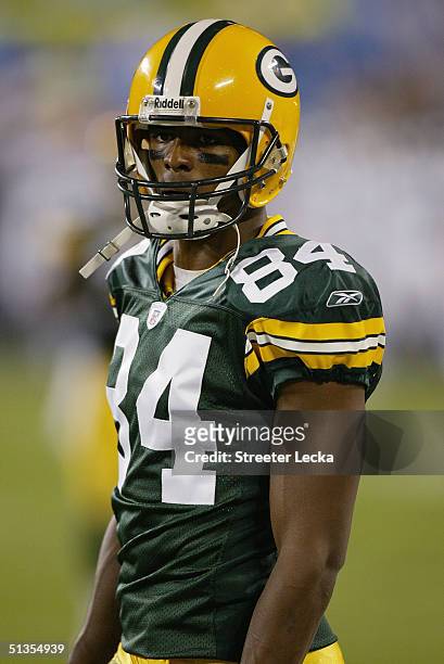 Wide receiver Javon Walker of the Green Bay Packers looks on during the game against the Carolina Panthers at Bank of America Stadium on September...