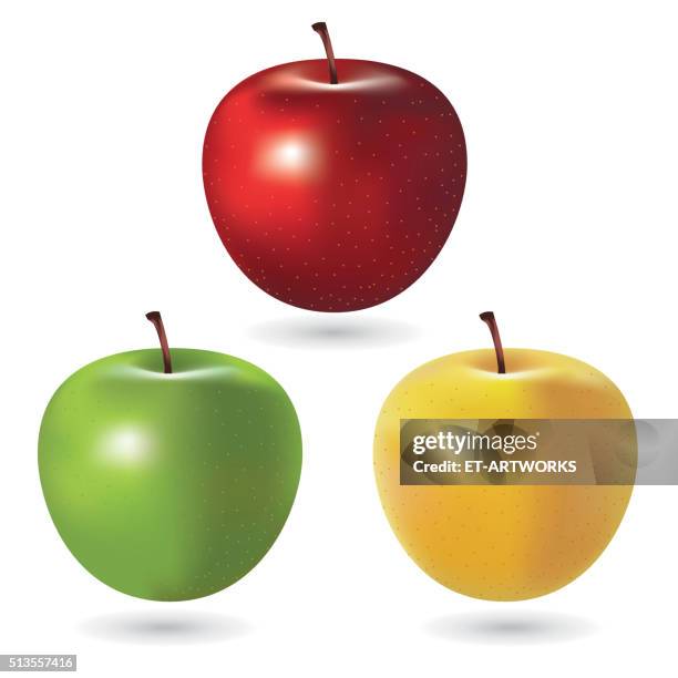 stockillustraties, clipart, cartoons en iconen met vector apples - apple