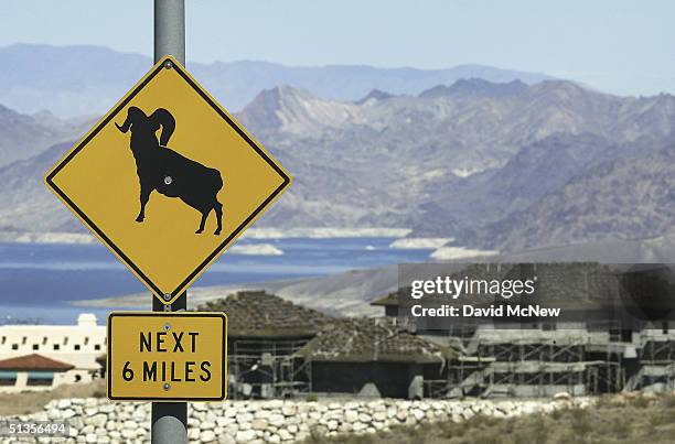 Road sign warns of desert bighorn sheep near a construction site as southern Nevada's population boom continues on September 24, 2004 near Boulder...