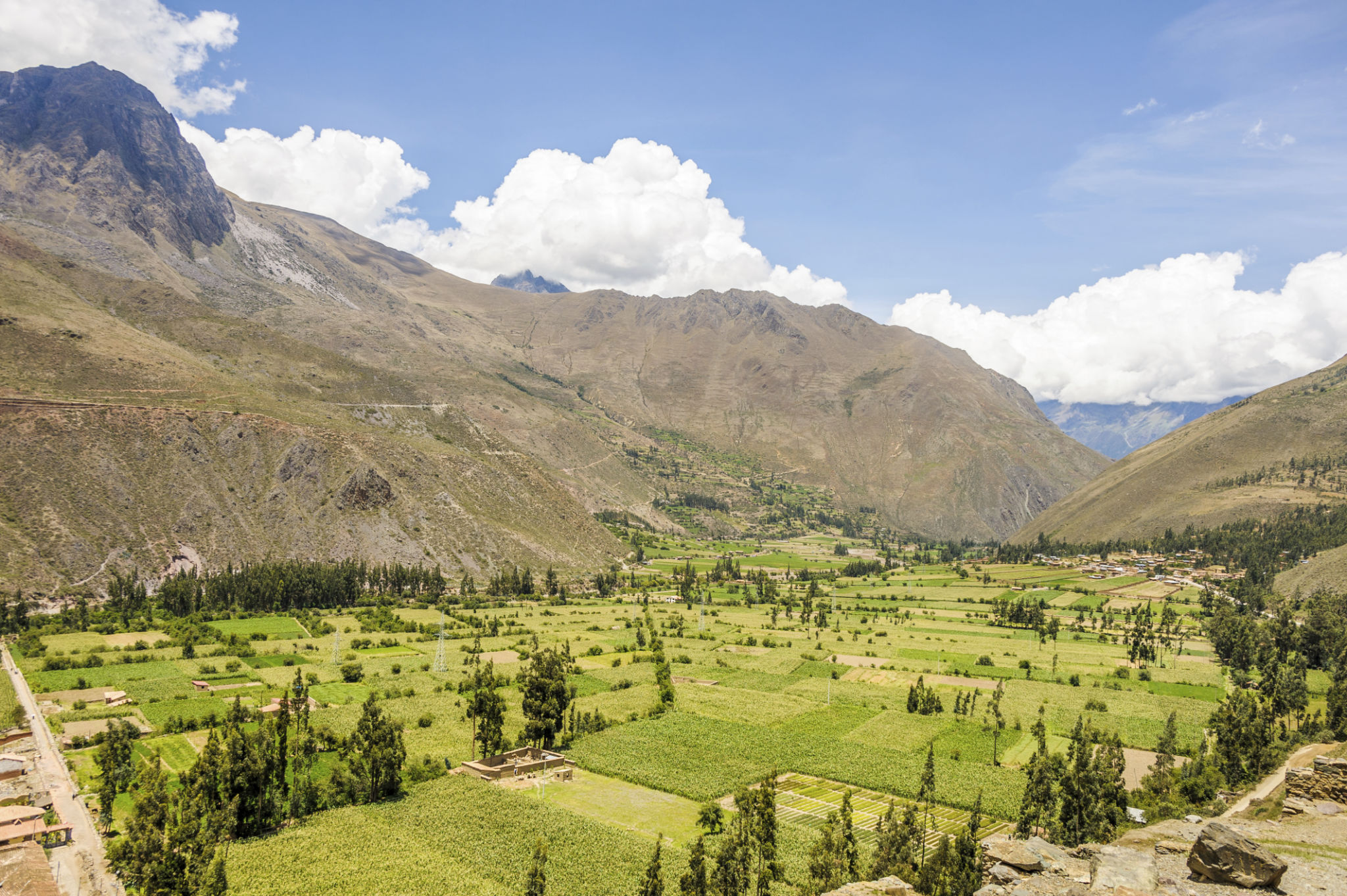 peru green business