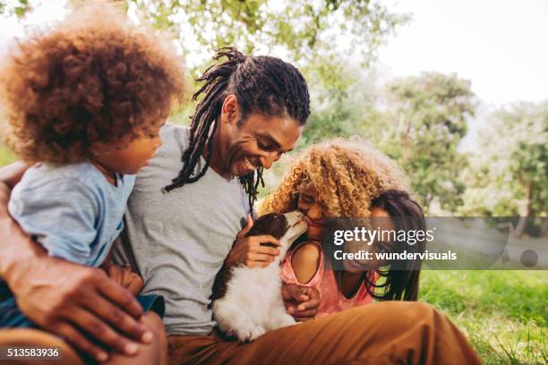 handsome dad laughs as his beautiful wife gets puppy kisses. - black people kissing stock pictures, royalty-free photos & images