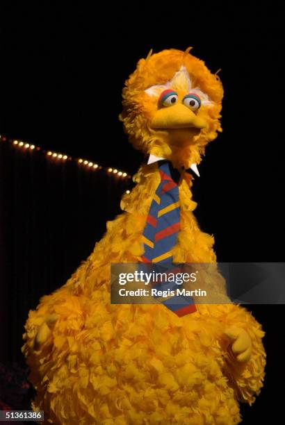 September 2003 - Big Bird at the Sesame Street Live show. At the Vodafone Arena. Melbourne, Victoria, Australia. .